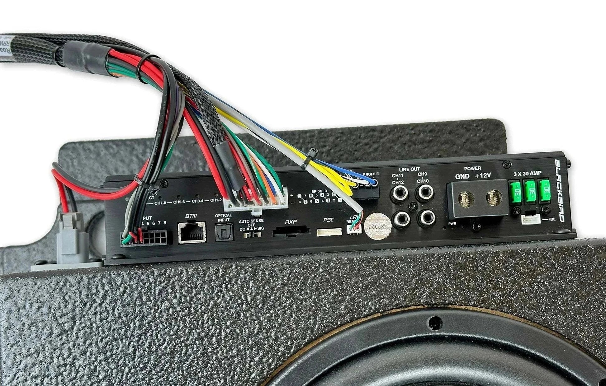 Ekko Stereo Upgrade : Beatbox Blackbird by Roamrig for Owl Outdoor
