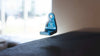 Blue anodized billet aluminum mount for Sprinter Hood Strut Kit with engraved Owl logo