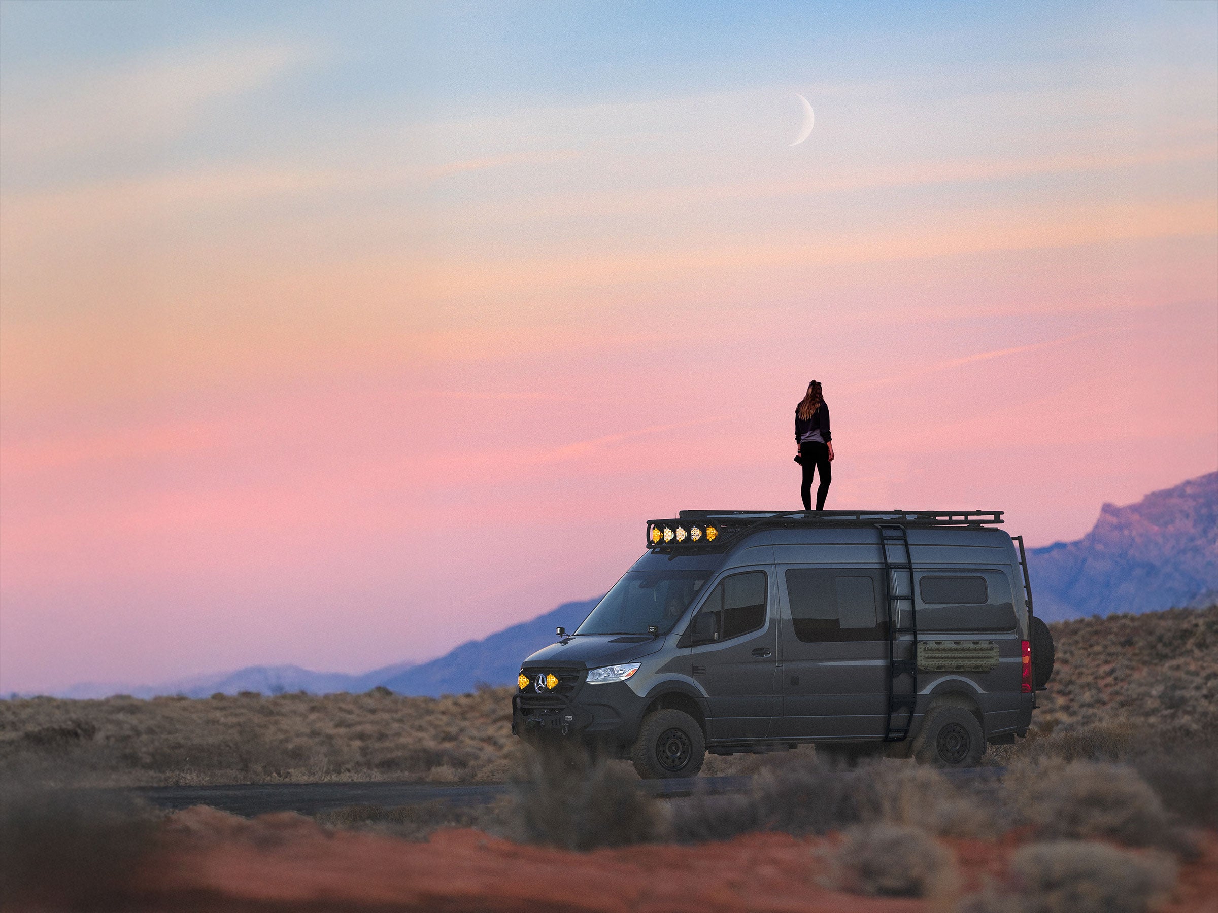 Owl, adventure vans, dawn, sunrise