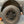 Rear Mondo Mudguard Kit [Terrawagen] Terrawagen