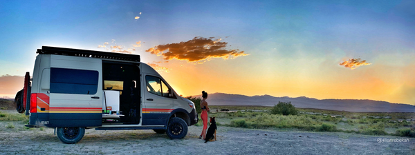 Woman and dog standing next to a sprinter van