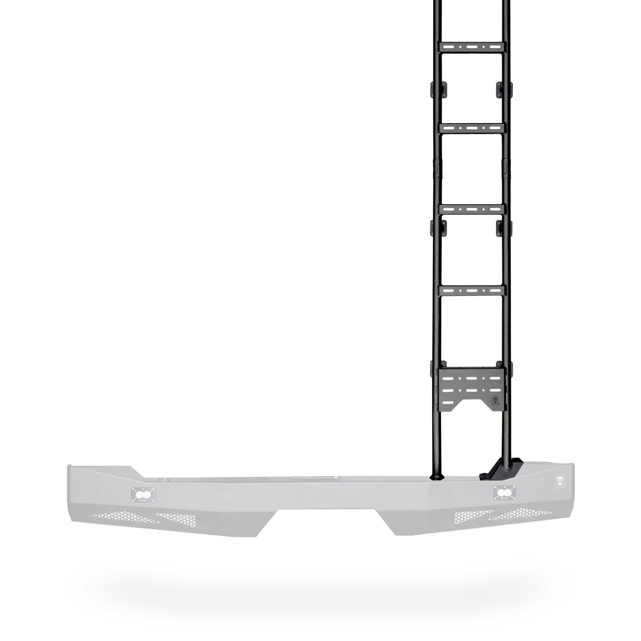 Sprinter Ekko Rear Ladder : Teton