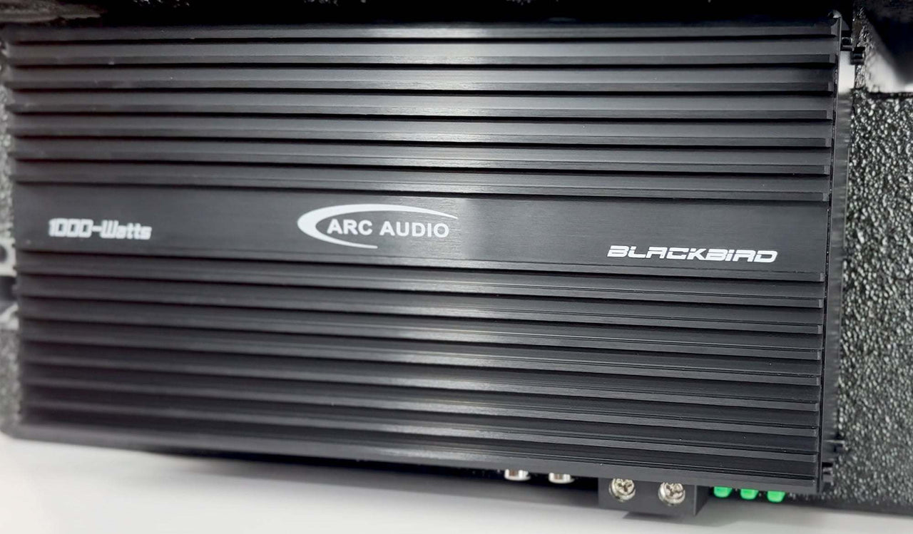 RoamRig 8" Beatbox Blackbird Sound System Upgrade - Owl Outdoor