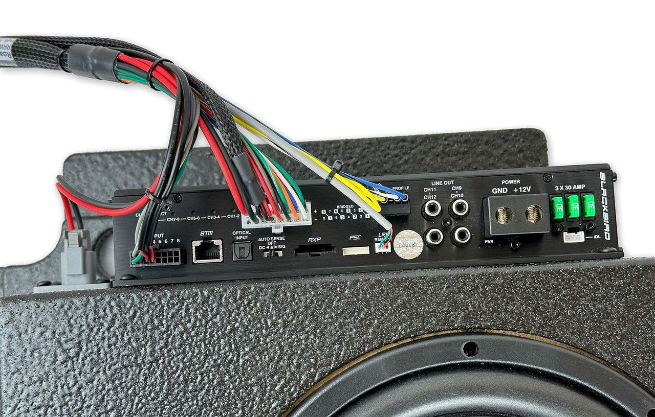 RoamRig 8" Beatbox Blackbird Sound System Upgrade - Owl Outdoor